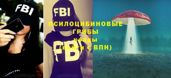 стафф Абдулино