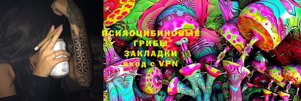 стафф Абдулино